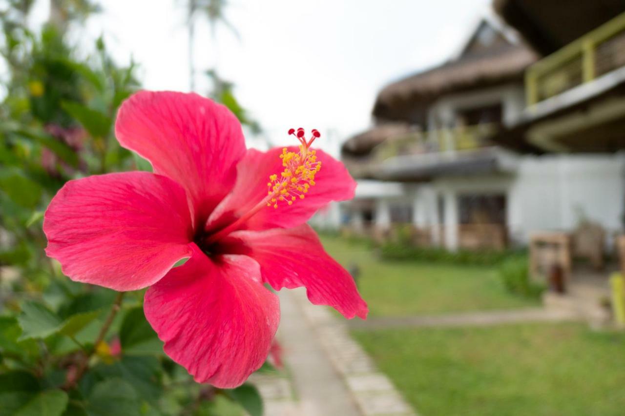 Daluyon Beach And Mountain Resort Sabang  Exterior foto